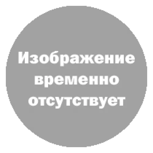 Калитка Эстет Плюс (2400 х 1000) RAL 8017-0