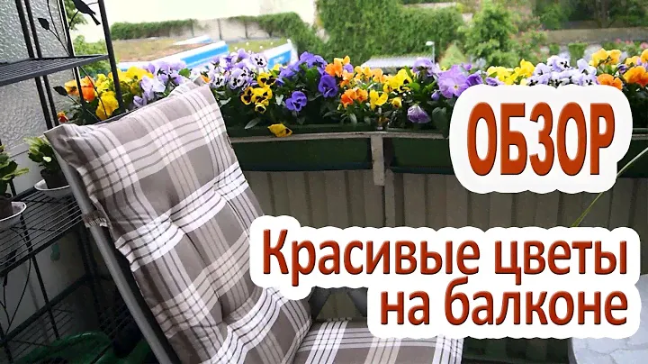 Какие цветы можно выращивать на балконе