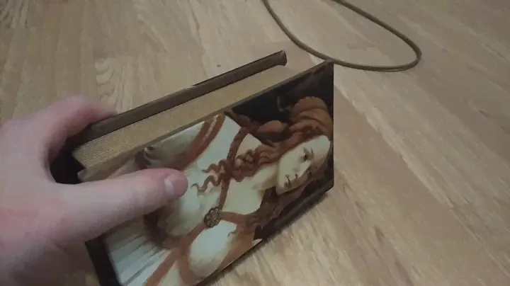 Книга сейф из Китая